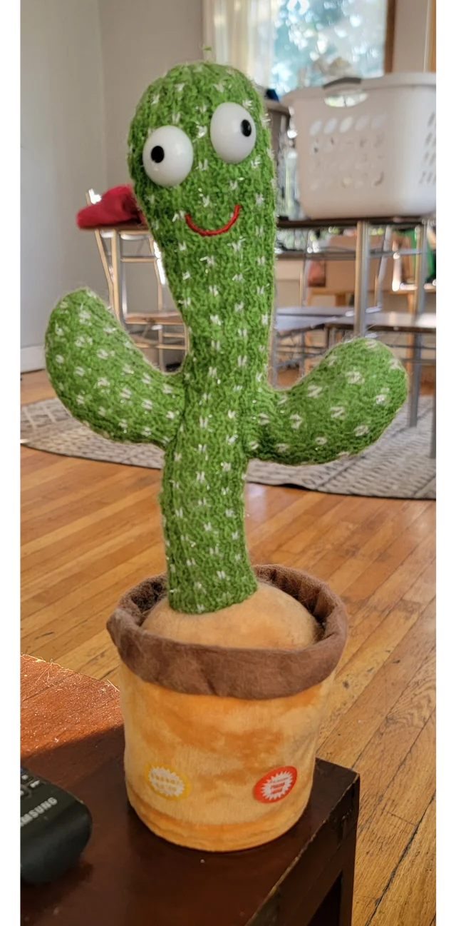 DANCING CACTUS PLANT TOY