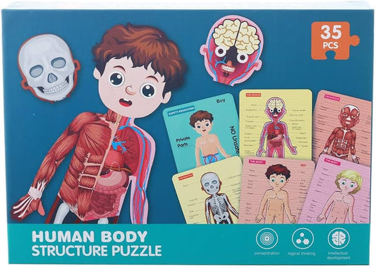 HUMAN BODY STRUCTURE PUZZLE