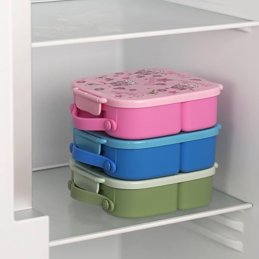BENTO PARTITIONED LUNCH BOX