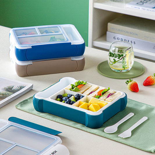DELICIOUS LUNCH: PLAIN LUNCH BOX FOR KIDS